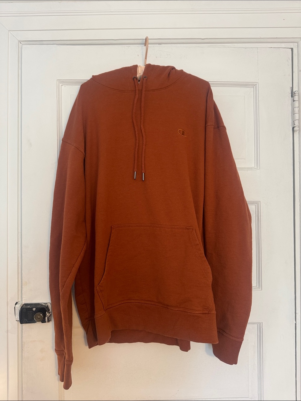 Champion Hooded Sweatshirt in Rust Orange